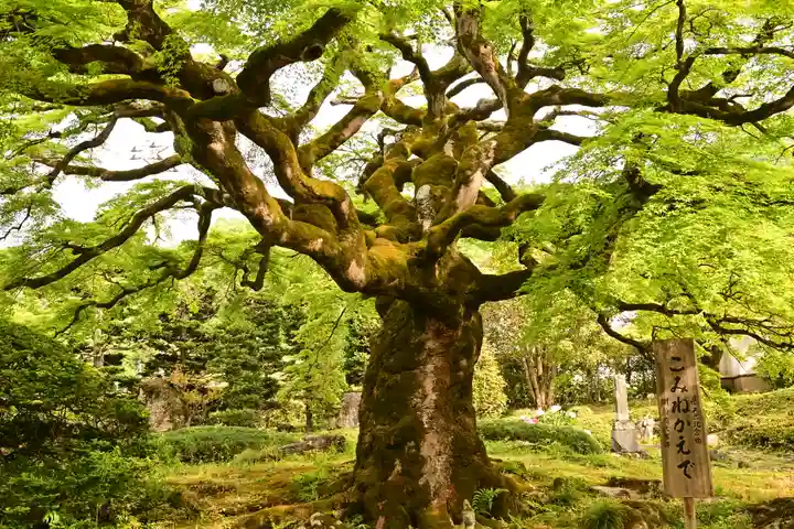 西善寺(埼玉県)