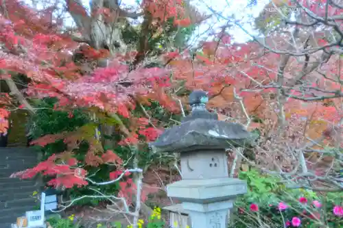 長谷寺(神奈川県)