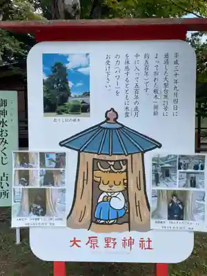 大原野神社(京都府)
