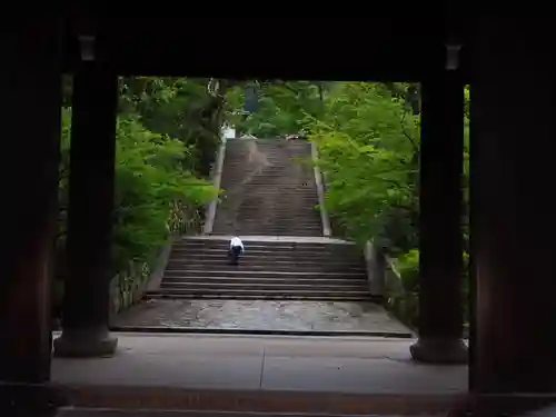 知恩院の山門