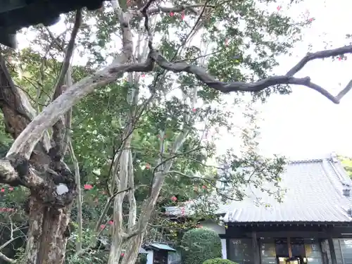 法泉寺のその他建物