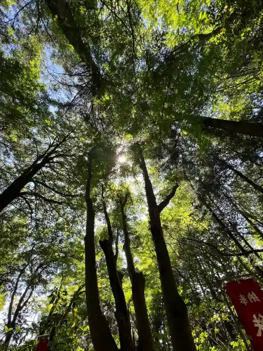 秩父御嶽神社(埼玉県)