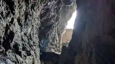 江の島岩屋の自然