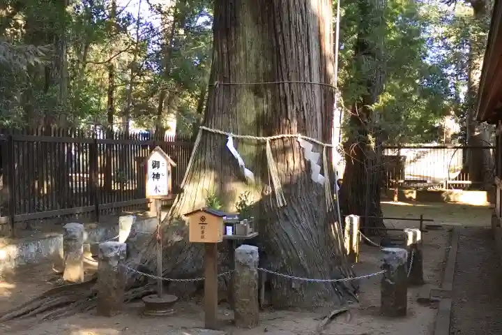 一言主神社の{uncategorized: "未分類", other: "その他", undefined: "問題あり", building: "その他建物", grave: "お墓", sacred_gate: "鳥居", guardian: "狛犬", statue: "像", buddha: "仏像", history: "歴史", nature: "自然", garden: "庭園", animal: "動物", pagoda: "塔", temizu: "手水舎", mountain_gate: "山門・神門", sanctuary: "本殿・本堂", subordinate: "末社・摂社", art: "芸術", scenery: "景色", jizo: "地蔵", ema: "絵馬", goshuin: "御朱印", omikuji: "おみくじ", items: "授与品その他", amulet: "お守り", goshuincho: "御朱印帳", eats: "食事", festival: "お祭り", votive_dance: "神楽", shichigosan: "七五三参", wedding: "結婚式", experience: "体験その他", initially: "初詣", around: "周辺", anti_infection: "感染症対策"}