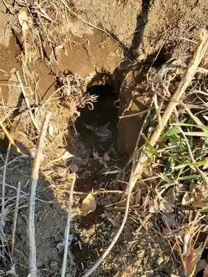 阿夫利神社(藤本観音山古墳)(栃木県)