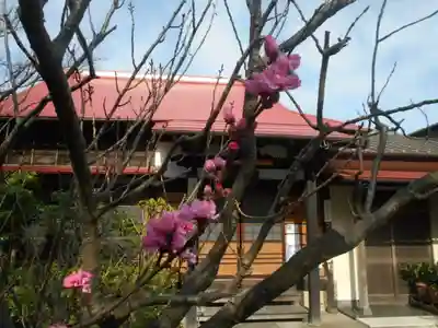 向福寺の自然