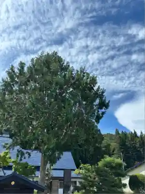 戸塚山 泉養院 置賜三十三番札所(山形県)