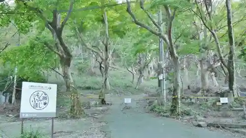 光明寺瑠璃光院の自然