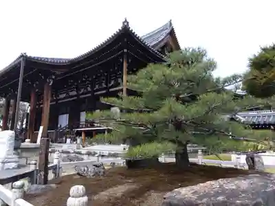 くろ谷 金戒光明寺(京都府)