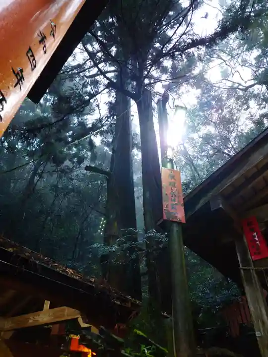 薬力社(京都府)