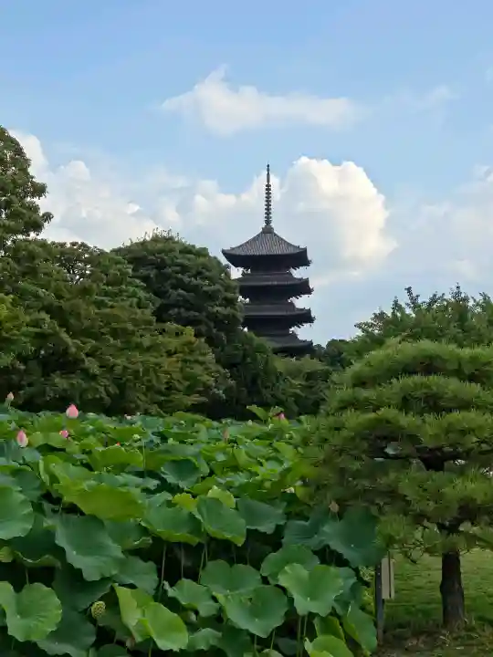 東寺(教王護国寺)の塔