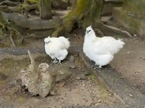 石上神宮(奈良県)