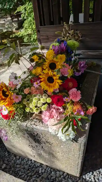 勝林寺(京都府)