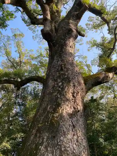 伊弉諾神宮(兵庫県)