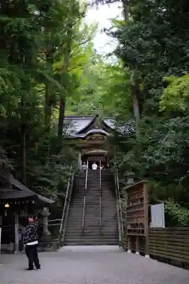 宝登山神社(埼玉県)