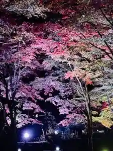 土津神社|こどもと出世の神さま(福島県)(2023年10月29日(日) 23時29分36秒投稿)