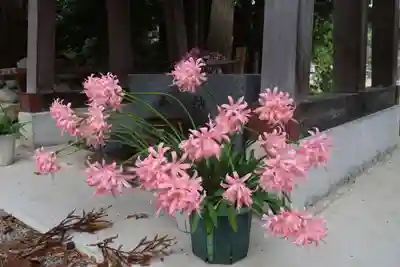 高司神社〜むすびの神の鎮まる社〜の手水舎