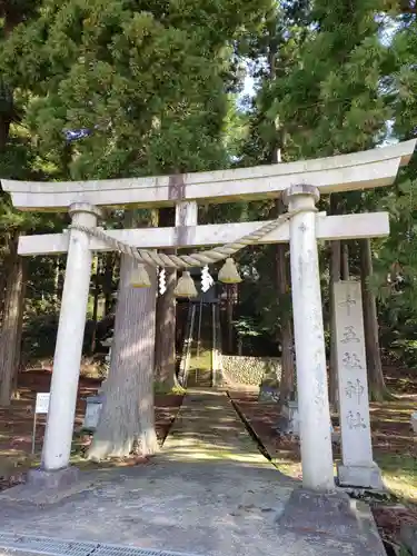 十五社神社の鳥居