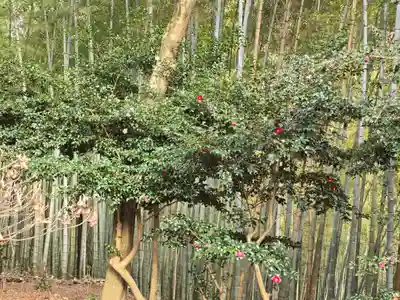 毘沙門堂門跡(京都府)