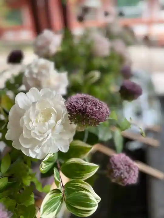 武蔵一宮氷川神社(埼玉県)