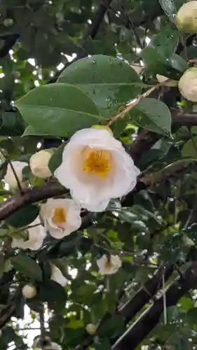 城南宮(京都府)