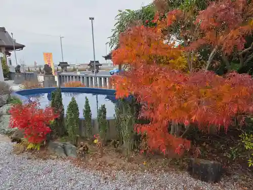 栗橋八坂神社(埼玉県)