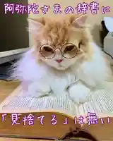 西教寺(下松駅徒歩5分)(山口県)