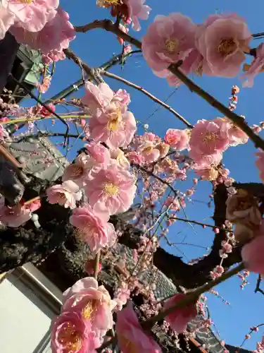 妙法寺(神奈川県)