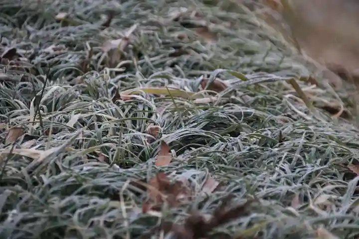 阿久津「田村神社」(郡山市阿久津町)旧社名:伊豆箱根三嶋三社の自然