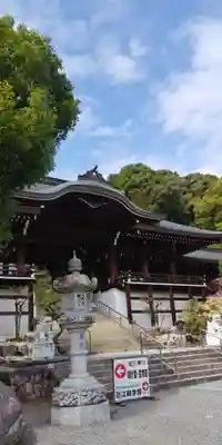 近江神宮の本殿・本堂