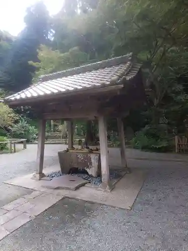 妙本寺の手水舎