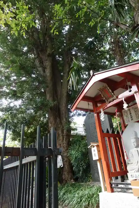 松山神社の自然