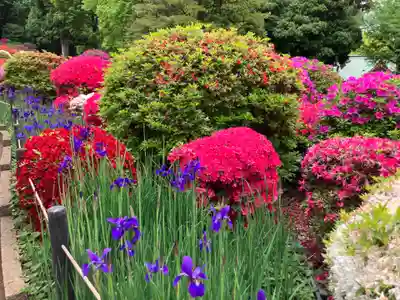 根津神社(東京都)