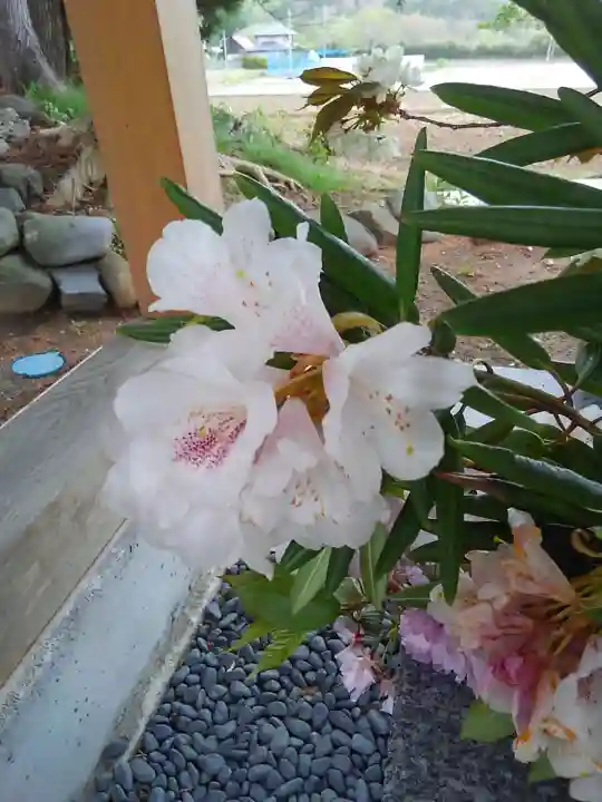 高司神社〜むすびの神の鎮まる社〜の自然