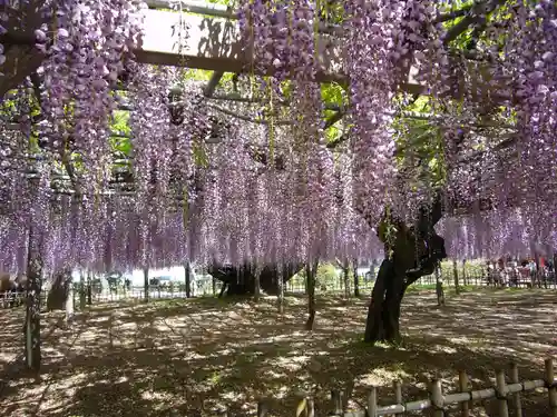 玉敷神社(埼玉県)