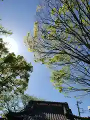 矢切神社の自然