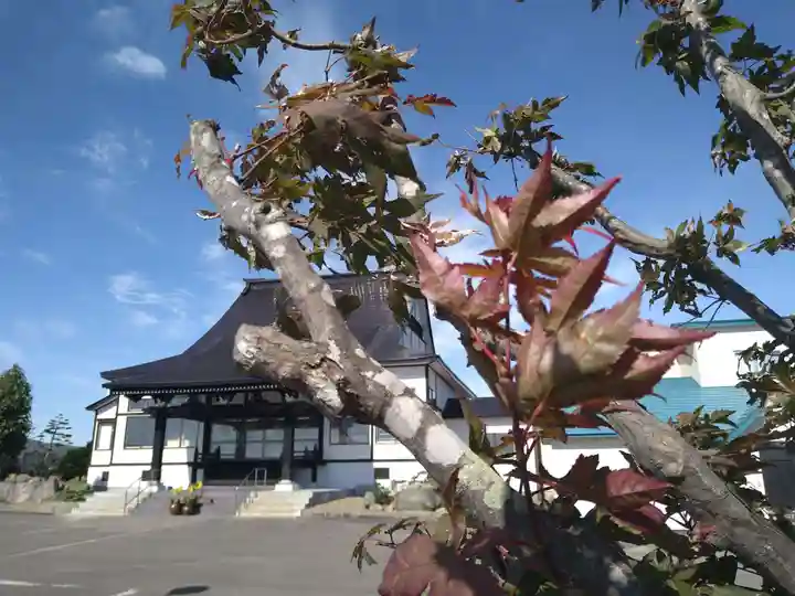 雨竜 専福寺(北海道)