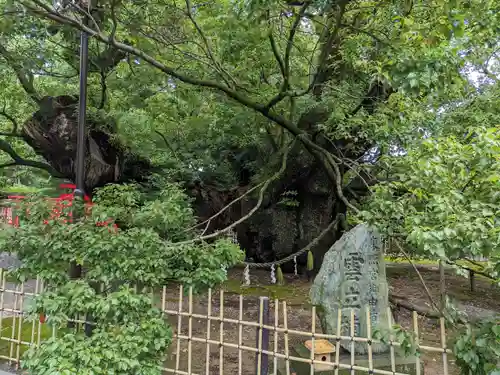 浜松八幡宮の建物その他