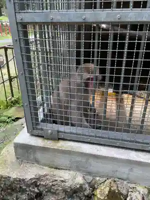 日吉大社(滋賀県)