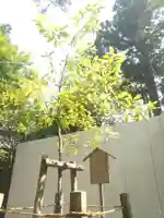 猿田彦神社(三重県)