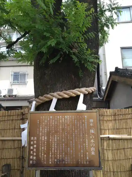 浅草神社(東京都)