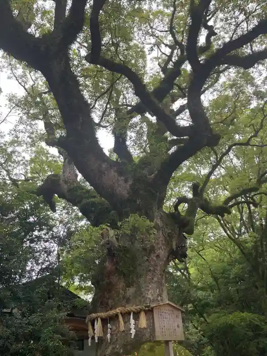 熱田神宮(愛知県)