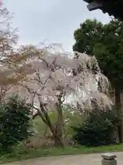 楽水亭　大龍寺(秋田県)