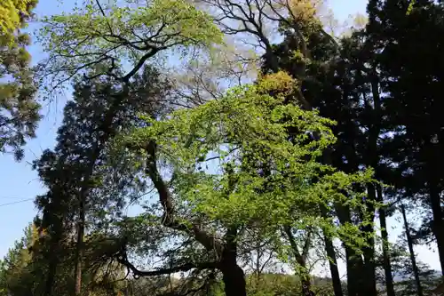 春日神社の庭園