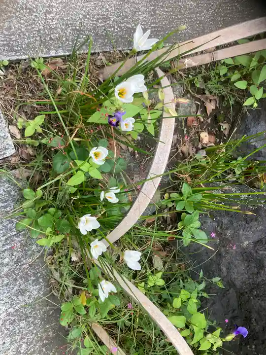 大巧寺(神奈川県)