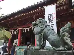 浅草神社の狛犬