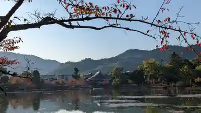 大覚寺(京都府)