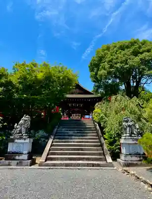 建勲神社の狛犬
