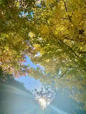 木食寺安祥院(京都府)
