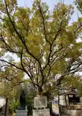 三光神社の自然